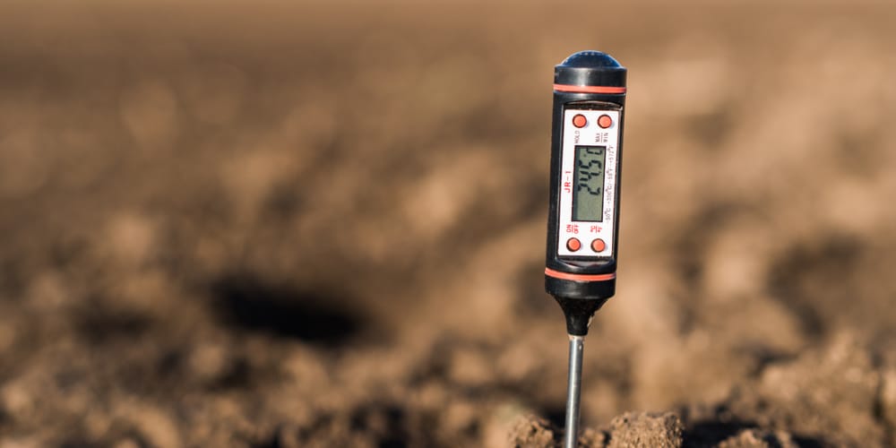 Conduct Soil Test