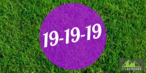 When to Use 19-19-19 on Grass