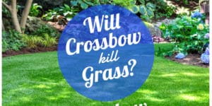 Will crossbow kill grass