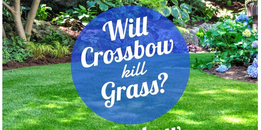crossbow herbicide kill grass crossbow herbicide kill grass