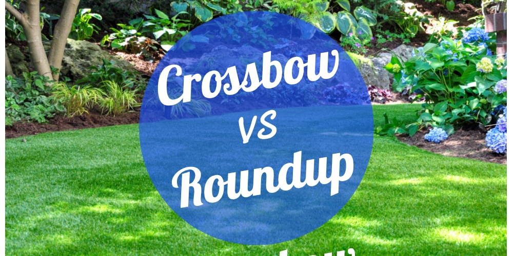 Using Herbicides Crossbow vs. Roundup GFL Outdoors