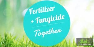 Fungicide + Fertilizer Together