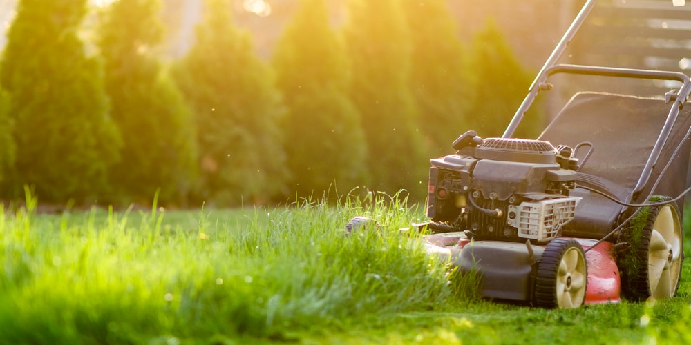 What Shoes to Wear Mowing the Lawn