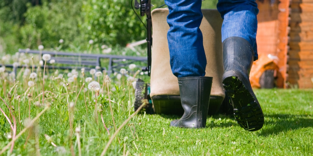 Mowing thick grass Tips