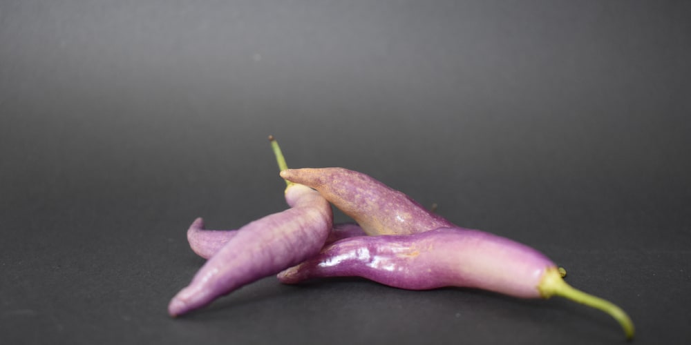 Peruvian Purple Pepper