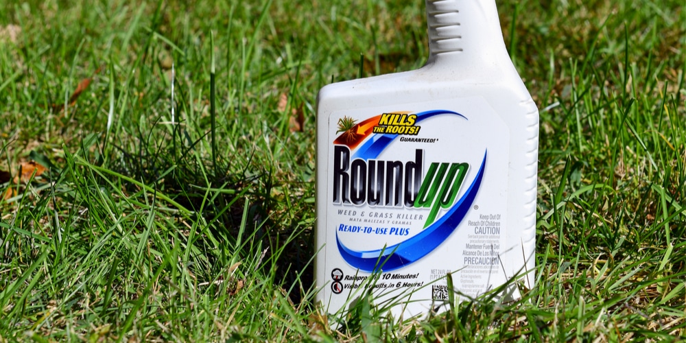 how long after roundup can i plant flowers