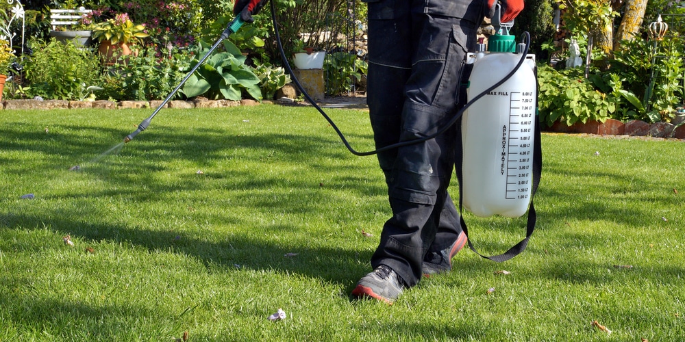 When to Spray Crabgrass Preventer