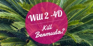 Will 24D Kill Bermuda
