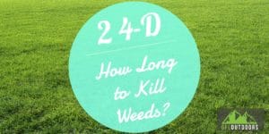 24D How Long to Kill Weeds?
