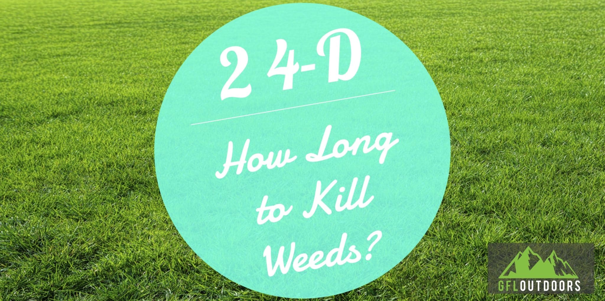 How Long Does it Take for 24d to Kill Weeds? GFL Outdoors