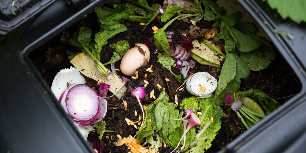 Hot composting vs cold composting