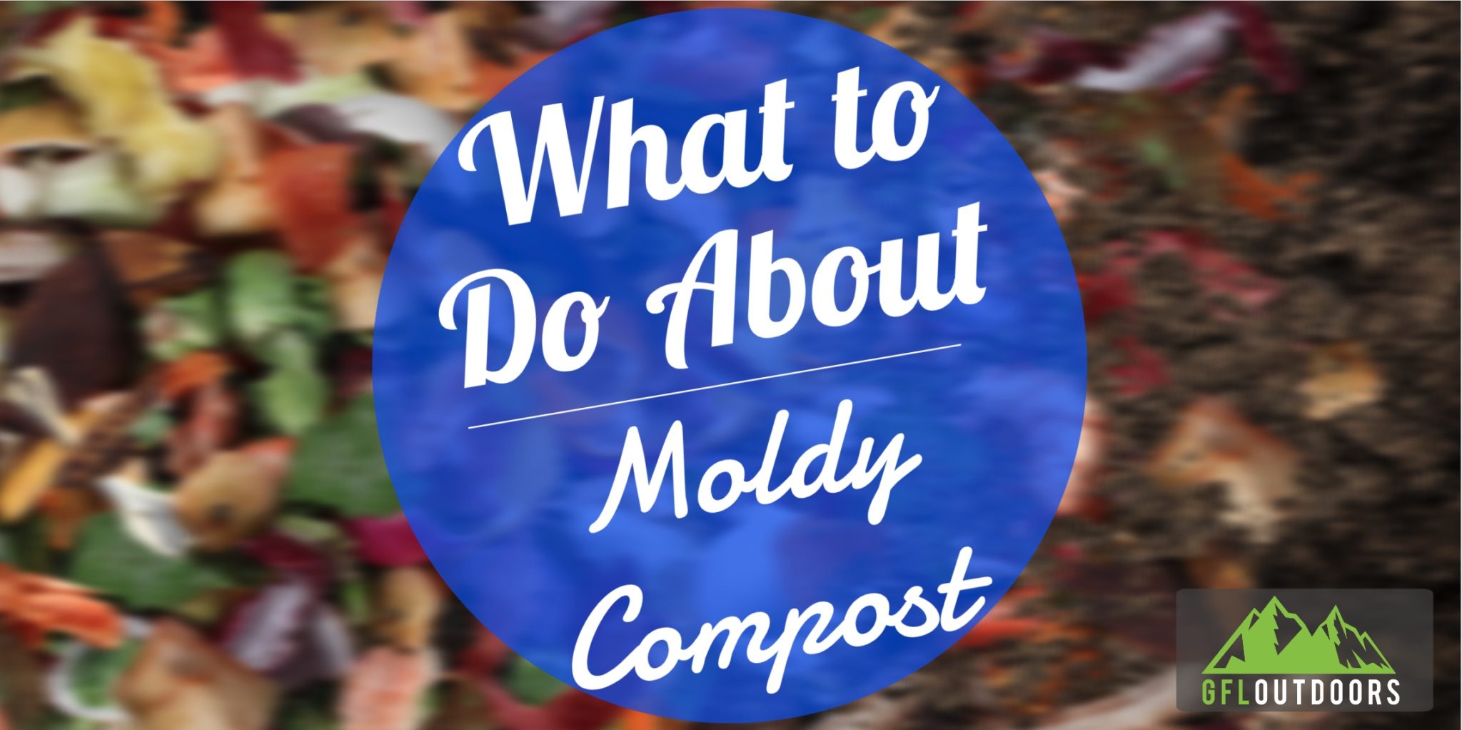 Why Does My Compost Have Mold?( How to Create Mold Free Compost)