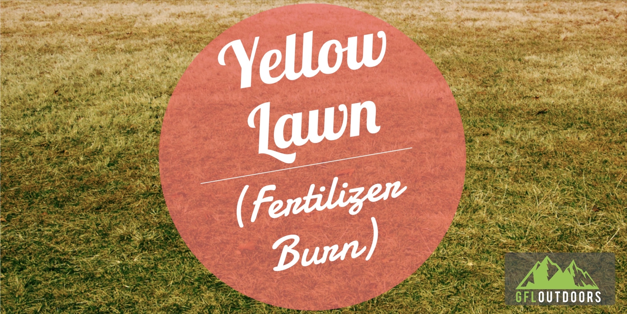 Grass Turned Yellow After Fertilizing What Happened + Fix