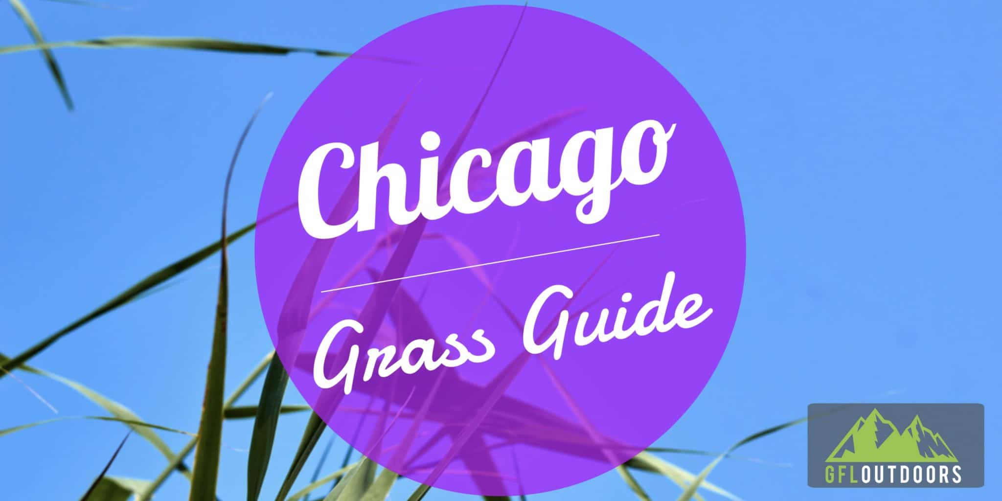 Best Grass Seed for Chicago & When to Plant It GFL Outdoors