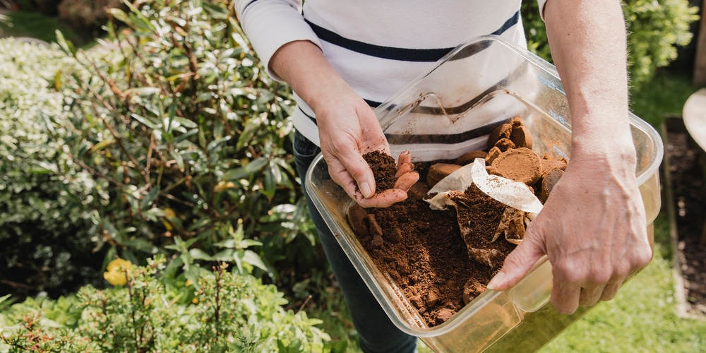 Do Coffee Grounds Repel Voles