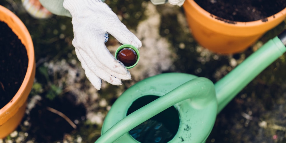 what is spoon feeding lawn