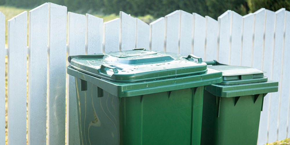  How To Get Rid of Flies Around Garbage Bin