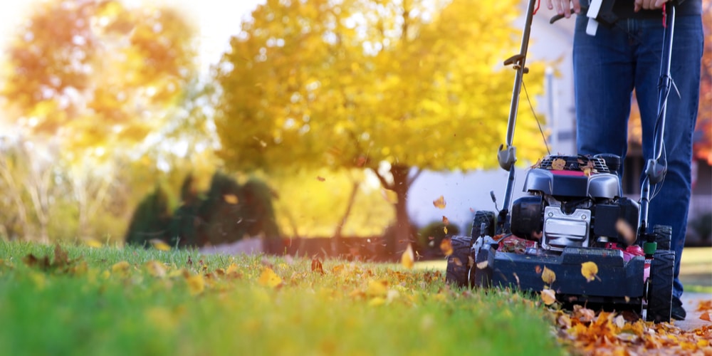 Mowing Grass Fall 