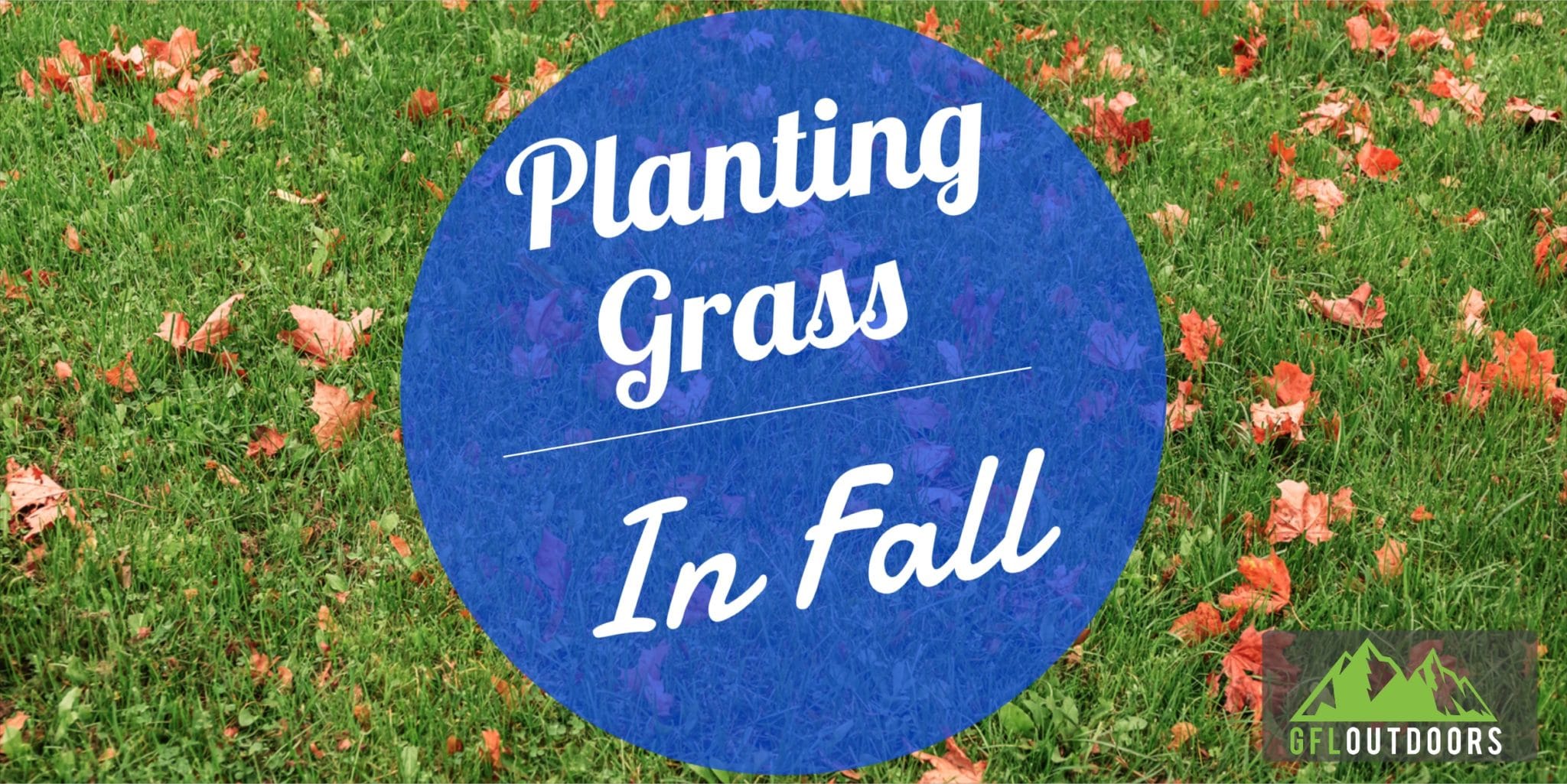 How Late in The Fall Can You Plant Grass Seed GFL Outdoors