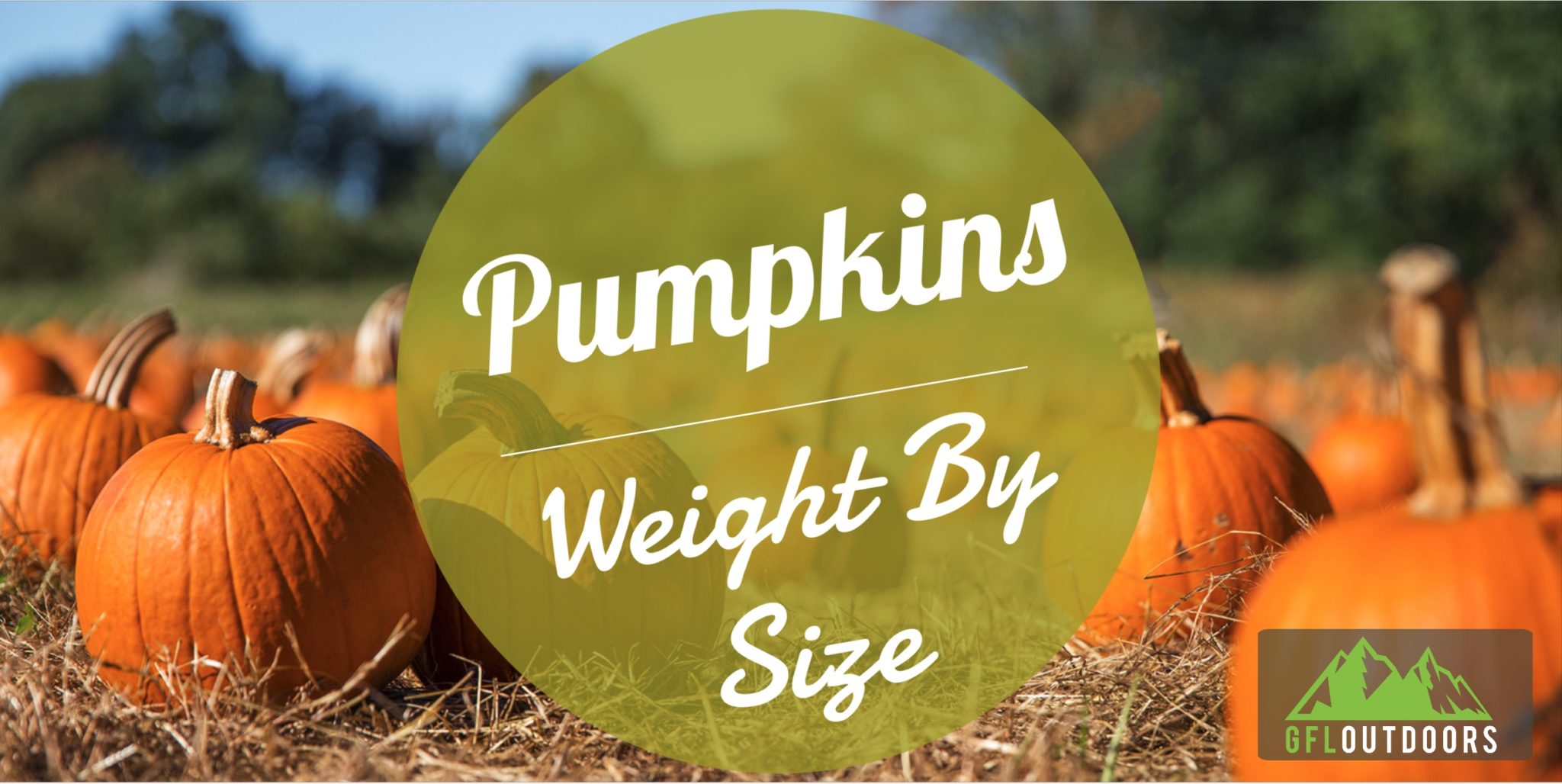 How Much Do Pumpkins Weigh All Common Varieties GFL Outdoors