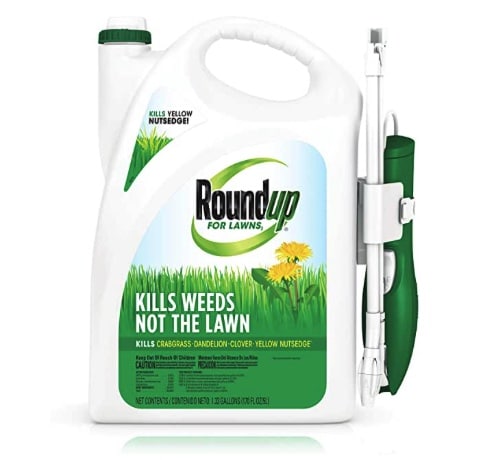 Weed Killer for Zoysia Lawn