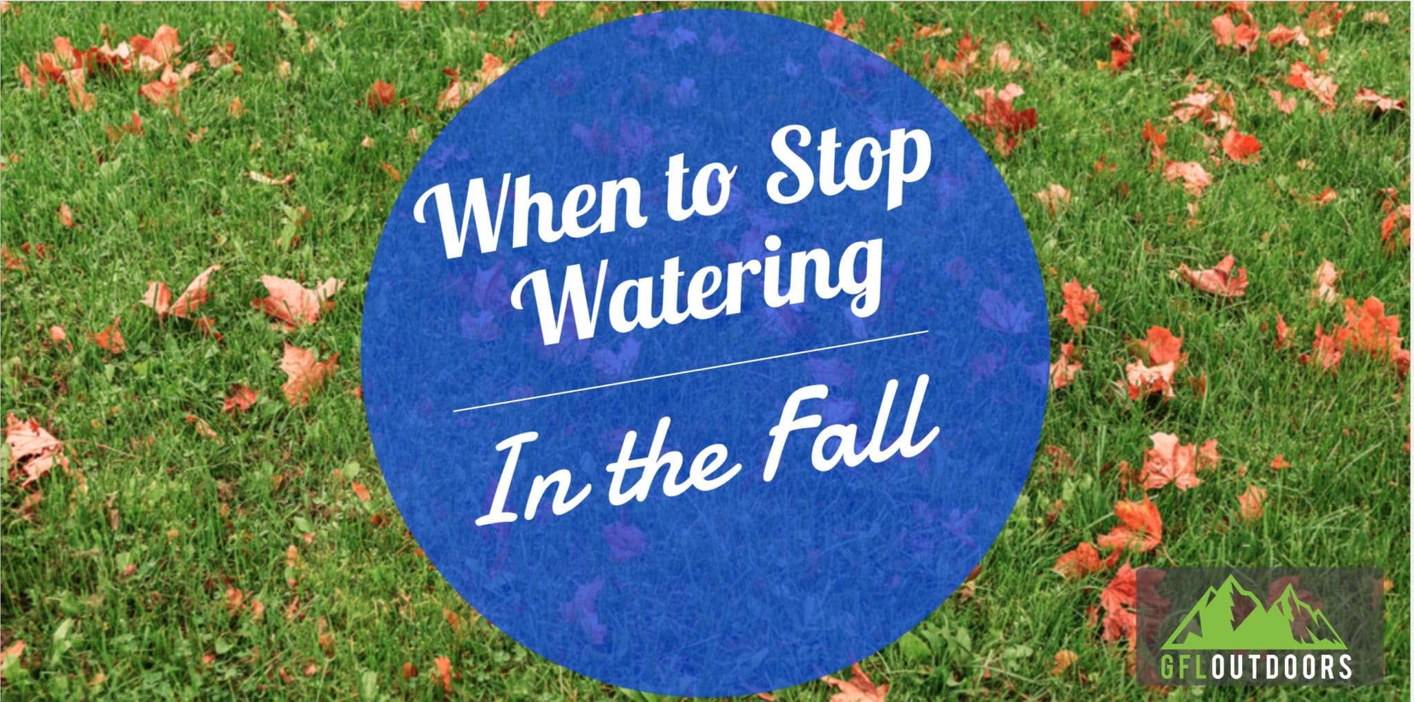 When to Stop Watering Grass in the Fall GFL Outdoors