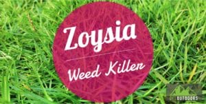 What Weed Killer Should be Used on Zoysia Grass