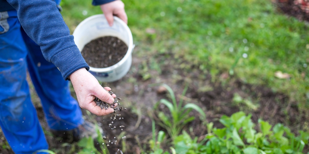 Adding Potassium to Soil