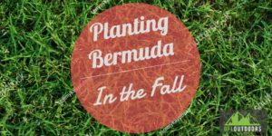 Planting Bermuda in the Fall