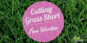 Grass Length for Winter