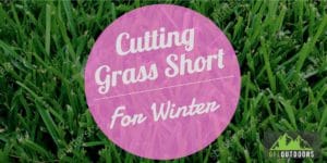 Grass Length for Winter