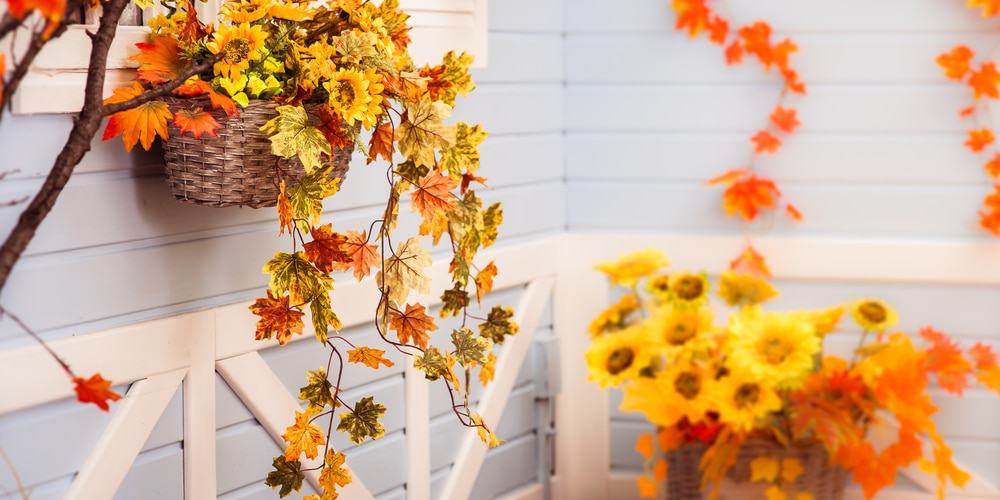 Hanging Baskets that Attract Birds