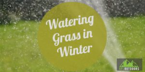 Watering Grass in Winter