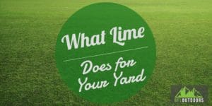 What Lime Does for a Yard
