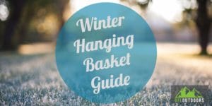 Winter Hanging Baskets