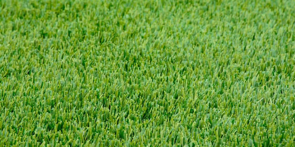 how to get rid of rye grass in lawn