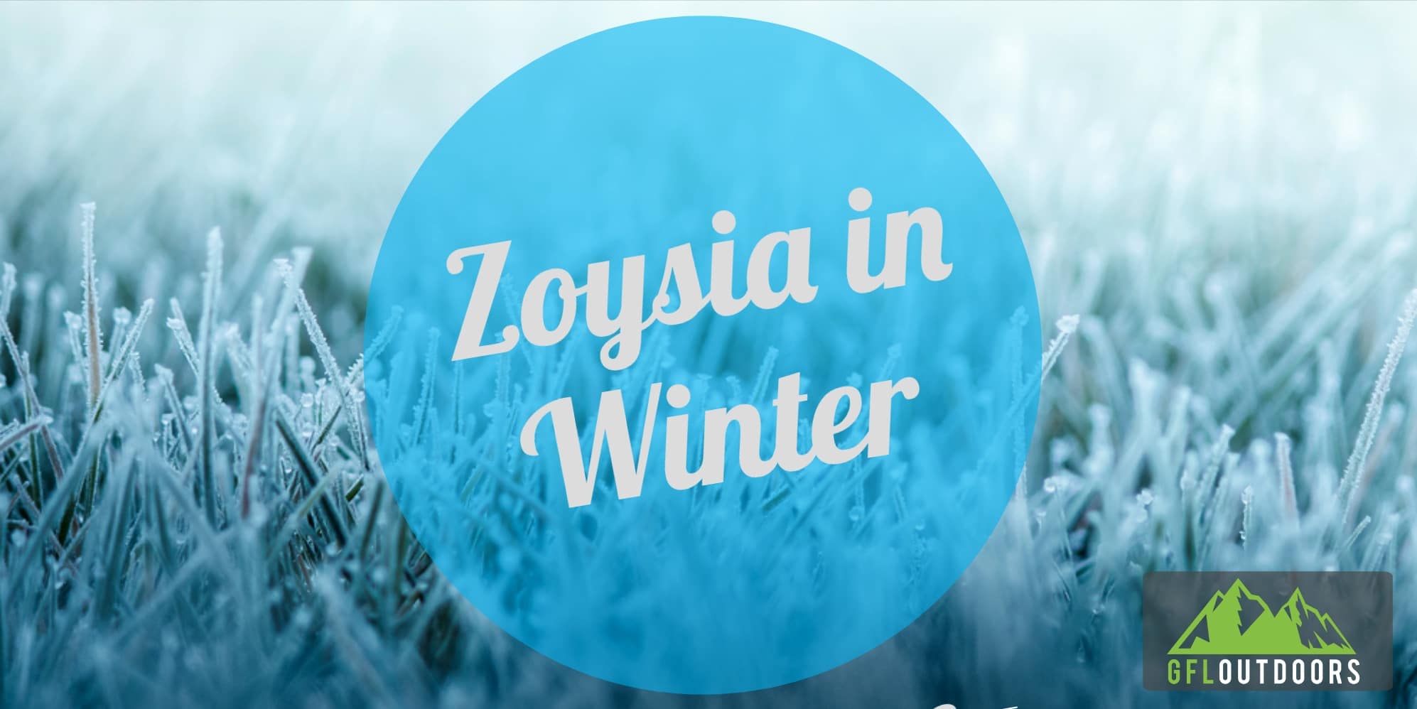 Zoysia Grass in Winter Everything You Need to Know GFL Outdoors