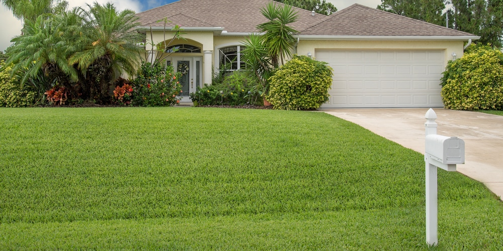 How Often Can I Apply Sulphur to My Lawn?