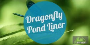 Dragonfly Pond Liner