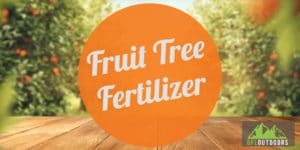 Fruit Tree Fertilizer