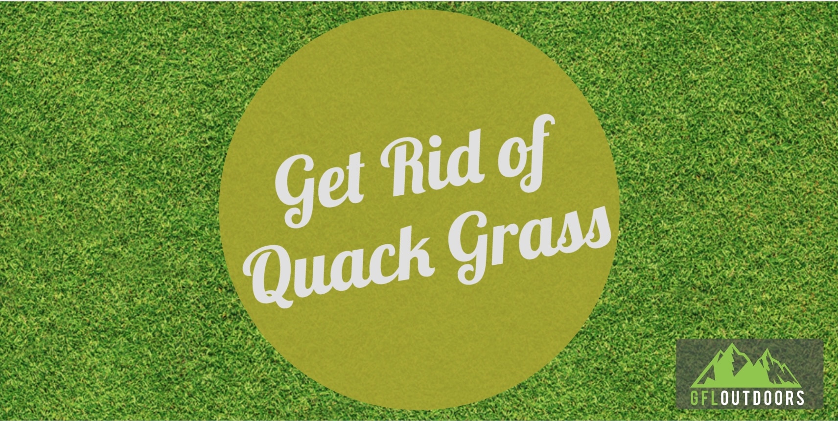 How to Get Rid of Quack Grass Fast and Easy GFL Outdoors