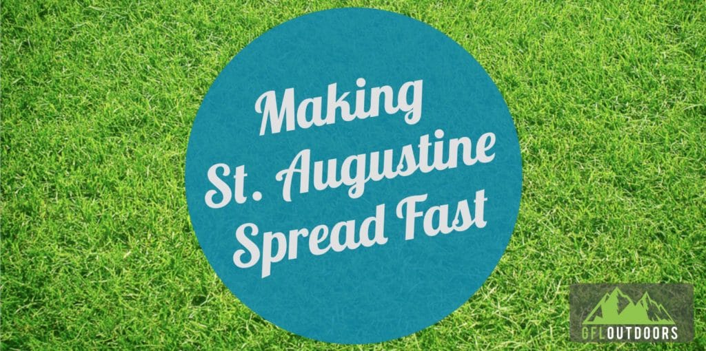 st-augustine-archives-gfl-outdoors
