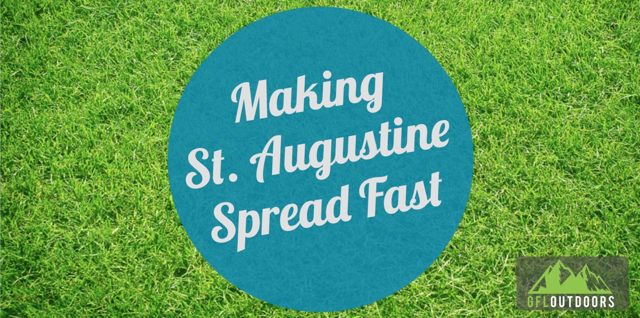 How to Make St Augustine Grass Spread Quickly A Full Guide