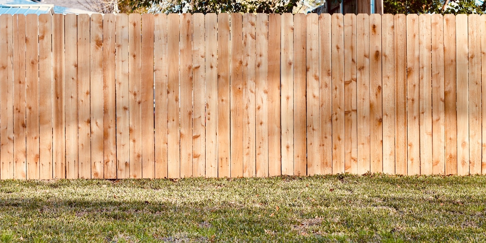 best way to trim grass along fence