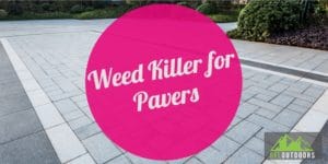 Weed Killer for Pavers