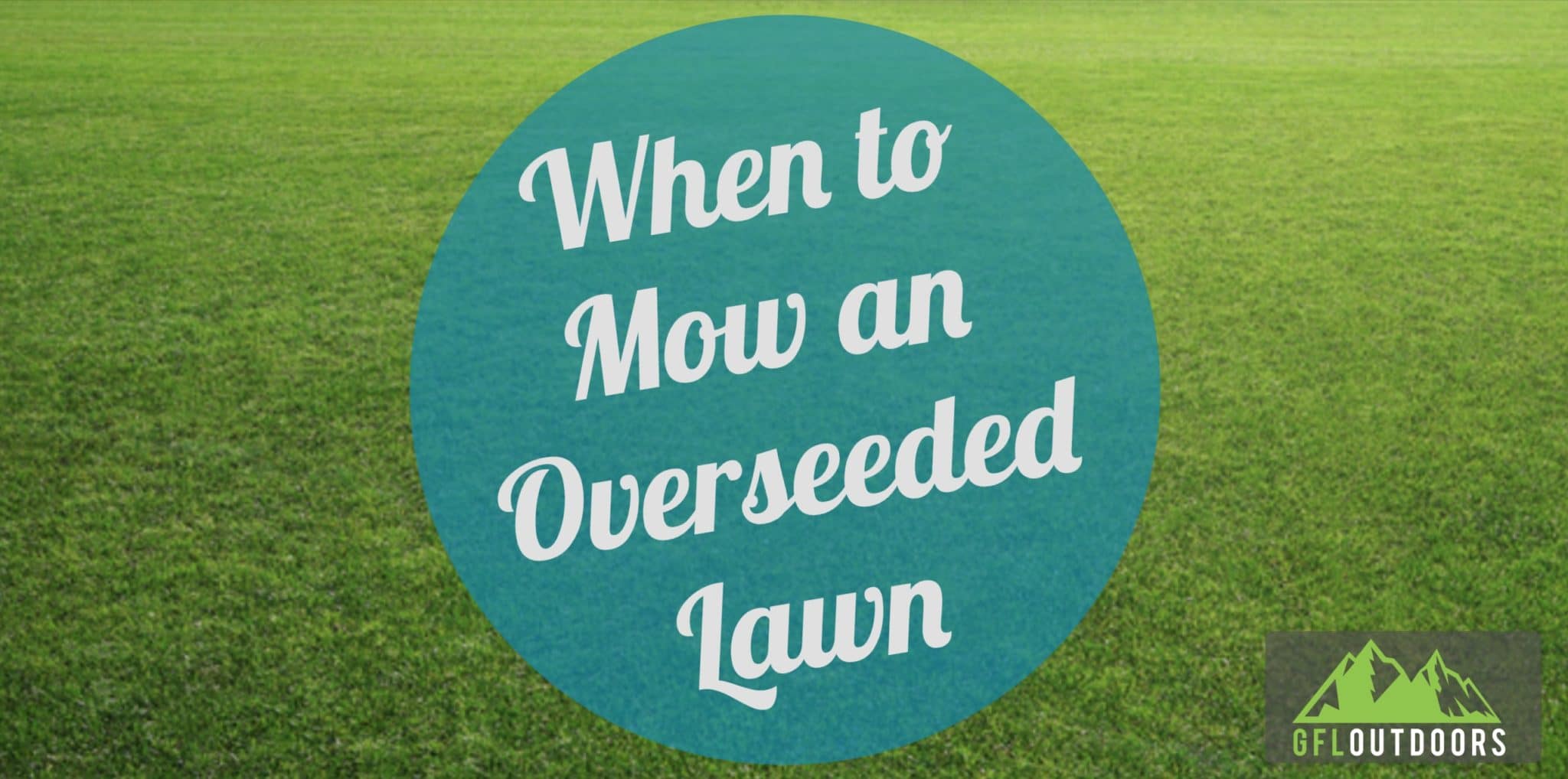 When to Mow after Overseeding? A Thorough Guide GFL Outdoors