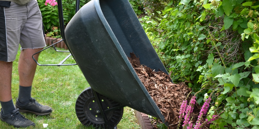 Will grass grow through wood chips?