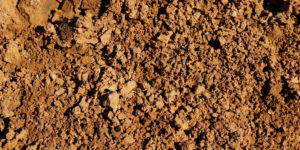 Is Dirt Homogeneous or Heterogeneous?