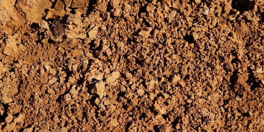 Is clay soil acidic or alkaline