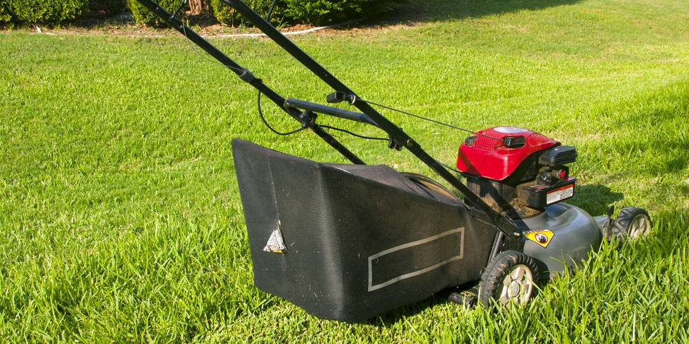 Can I Mow After Fertilizing?